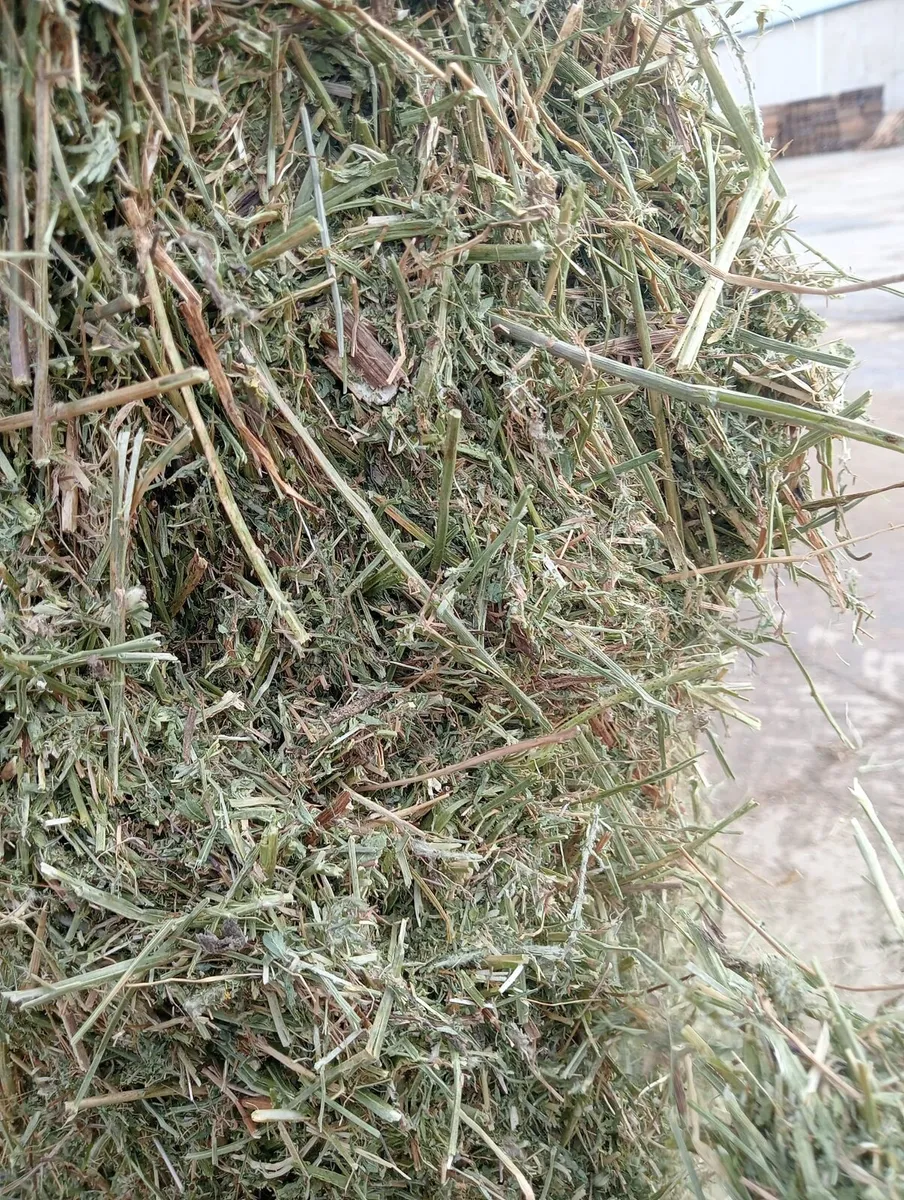 Precision Chopped Straw and Spanish Afalfa - Image 2