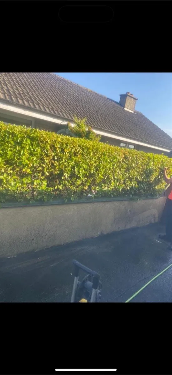 Offering Garden & landscaping Services - Image 1