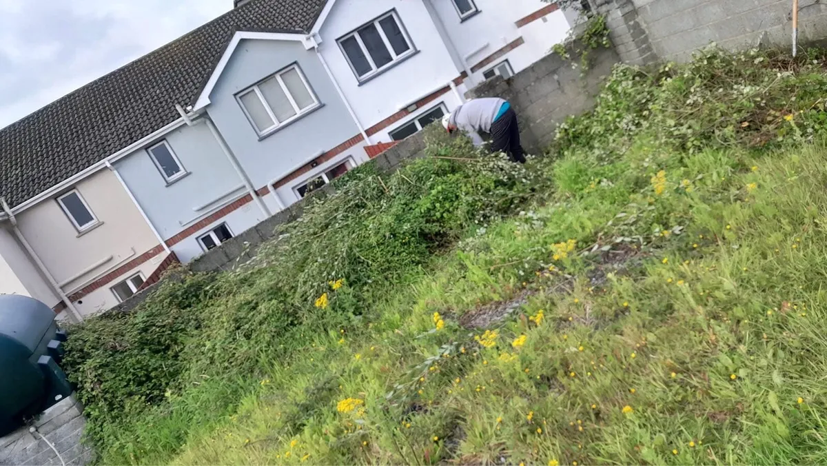 Offering Garden & landscaping Services - Image 2