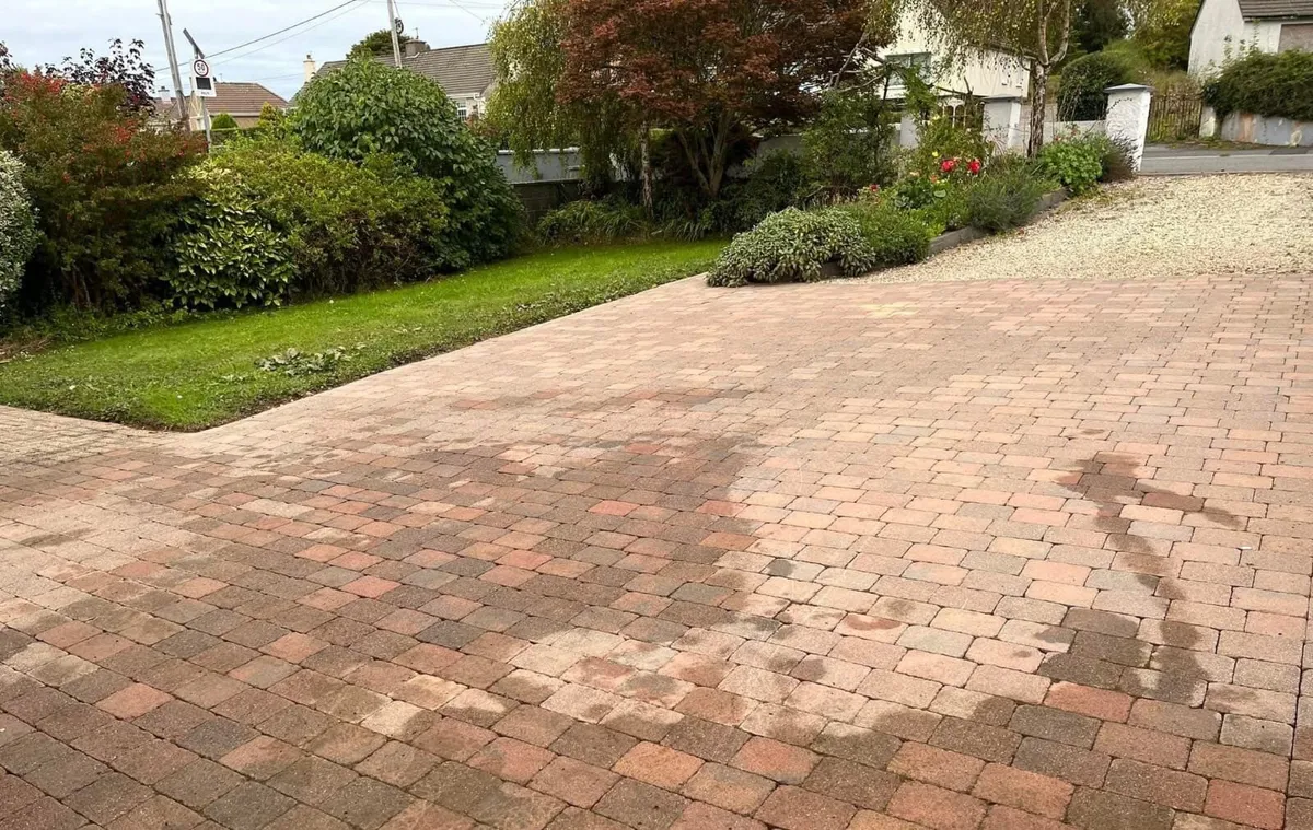 Power washing & hedge trimming - Image 3