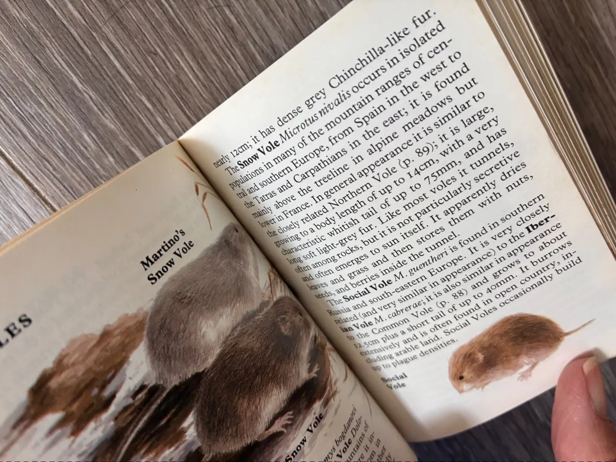 Vintage Wild Animal Reference Small Pocket Book - Image 3