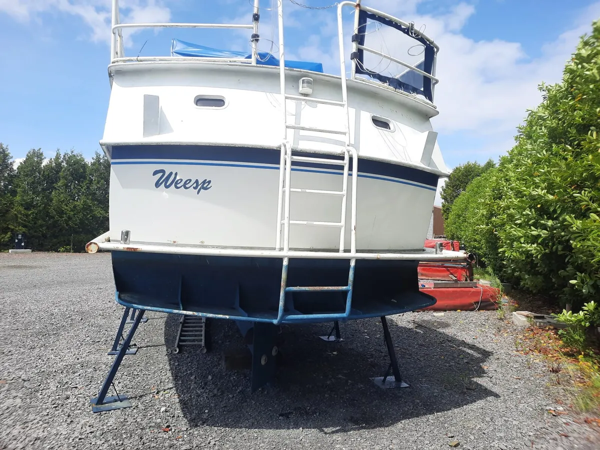 Cruiser - Image 2
