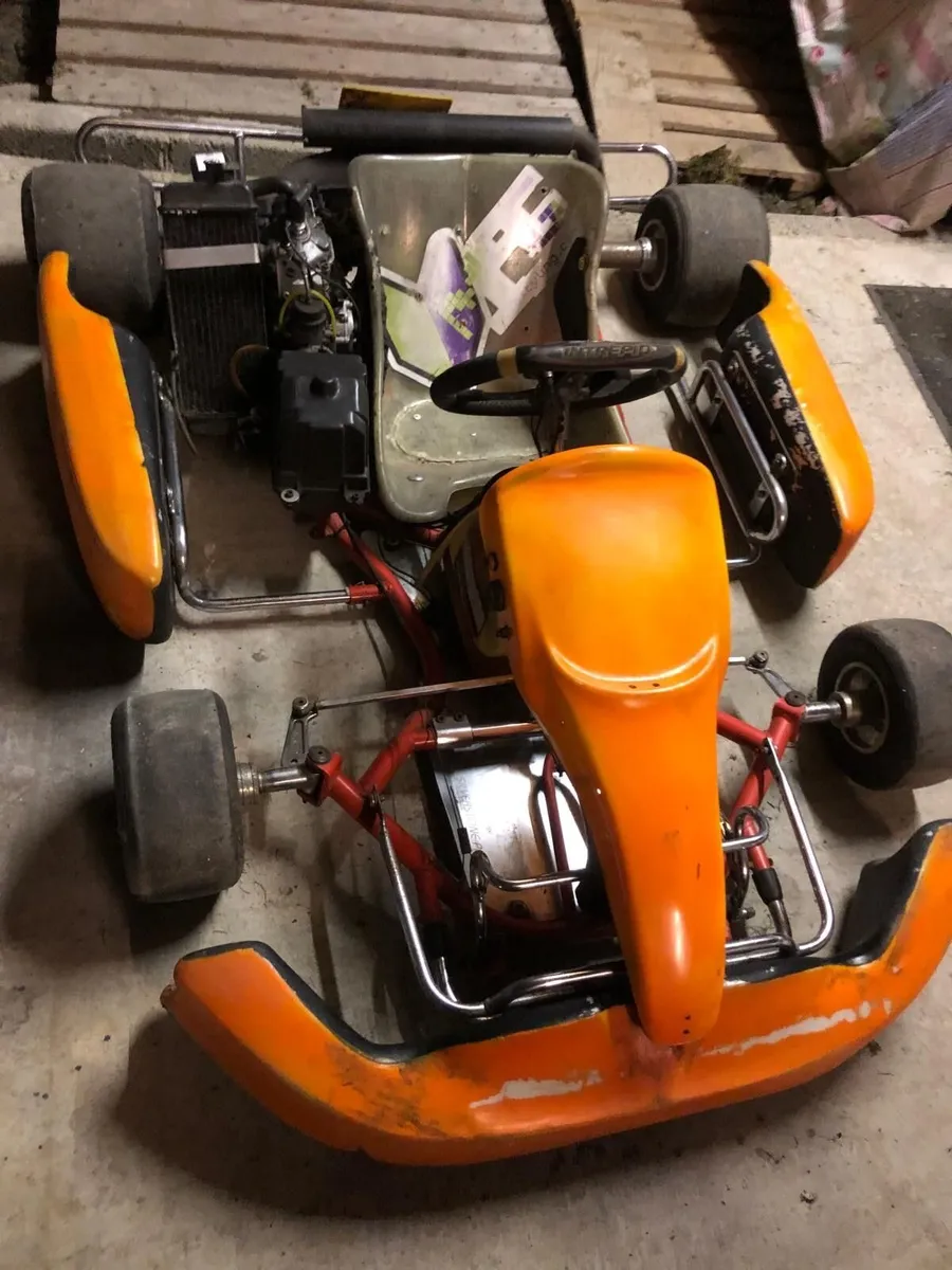Intrepid Silverstone Rotax 125 Max Senior Go-Kart - Image 1