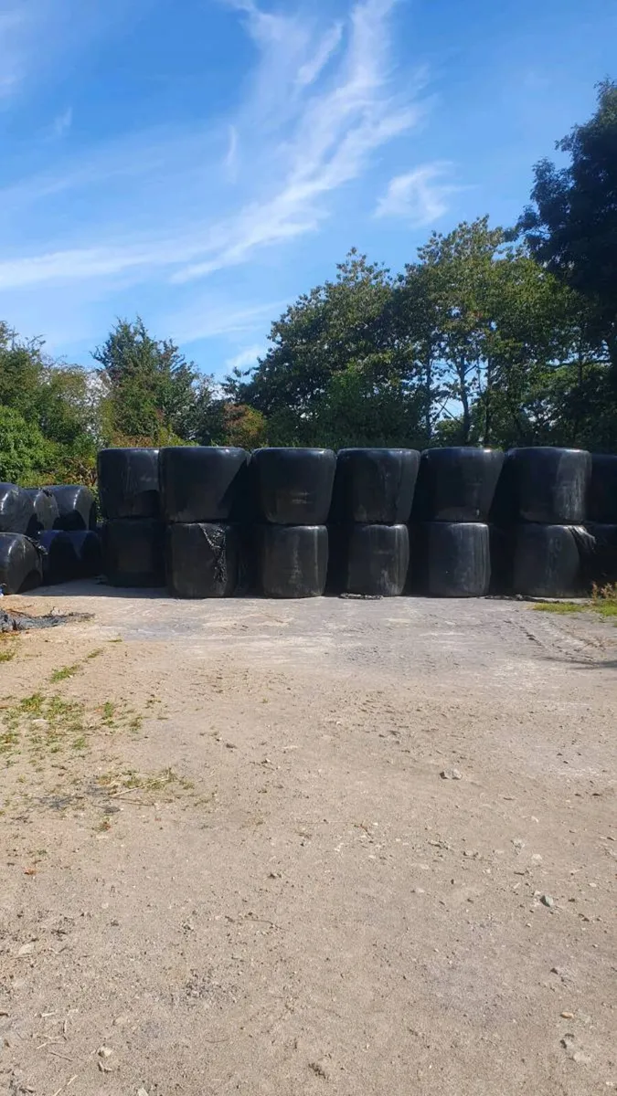 Haylage