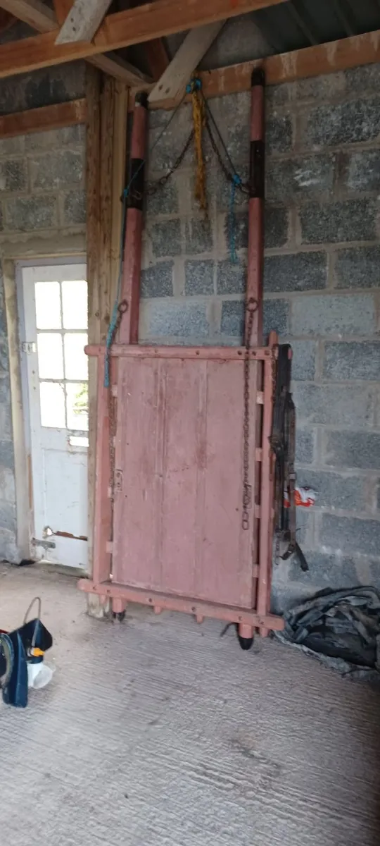 donkey cart