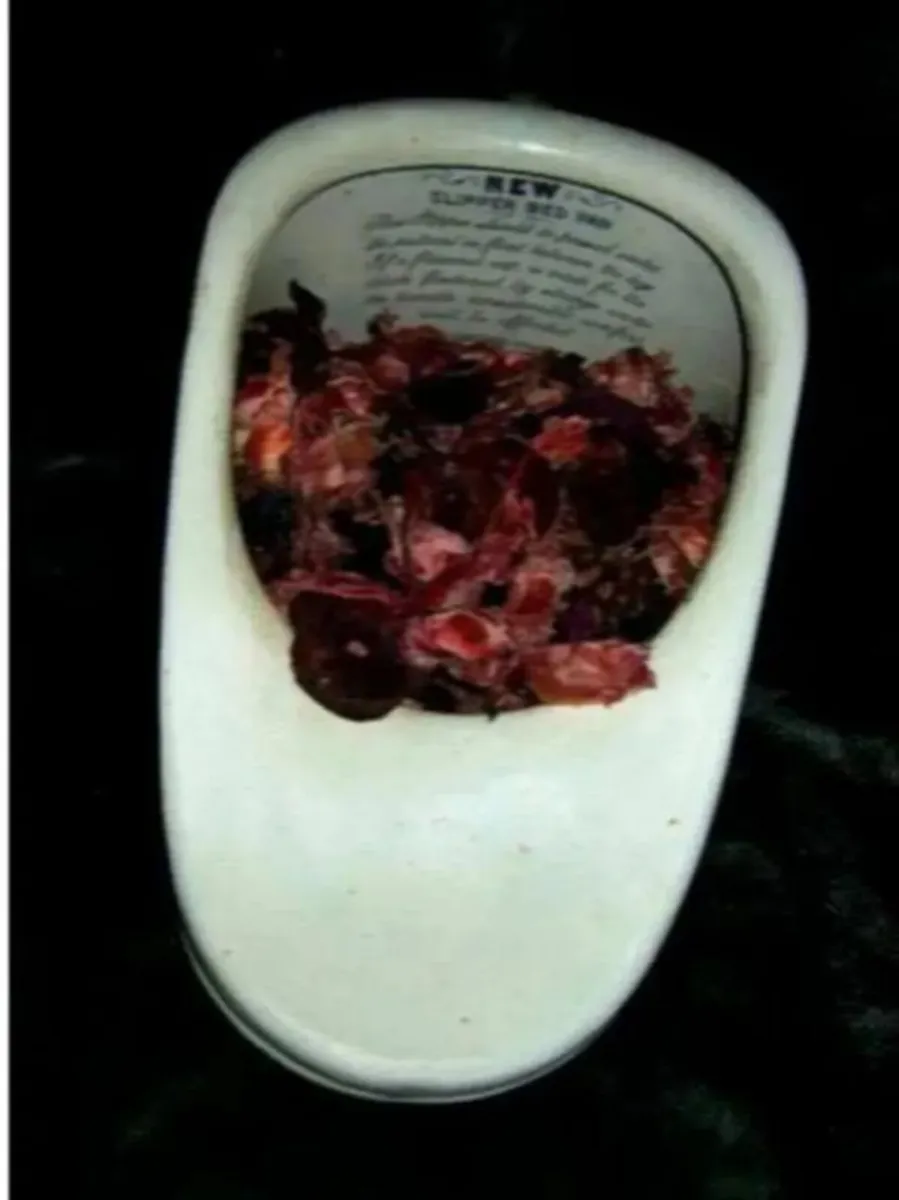 Authentic Vintage Bedpan - Image 2