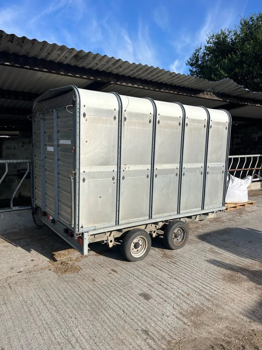 Ifor Williams Livestock Trailer - Image 1