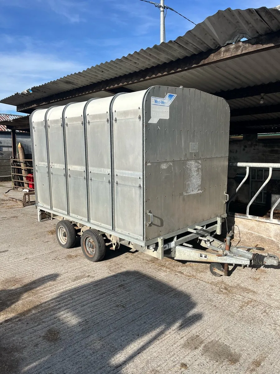 Ifor Williams Livestock Trailer - Image 2
