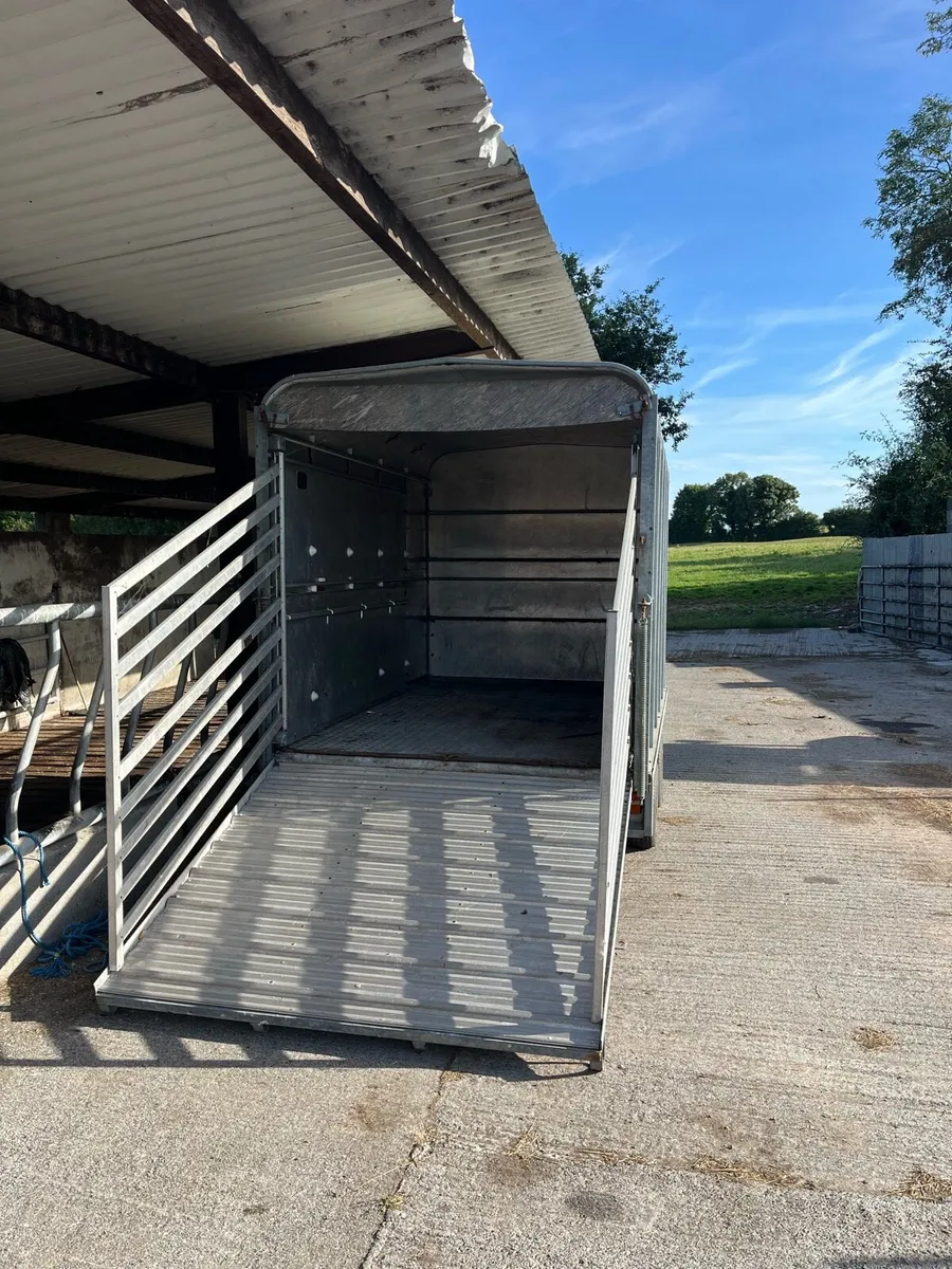 Ifor Williams Livestock Trailer - Image 3