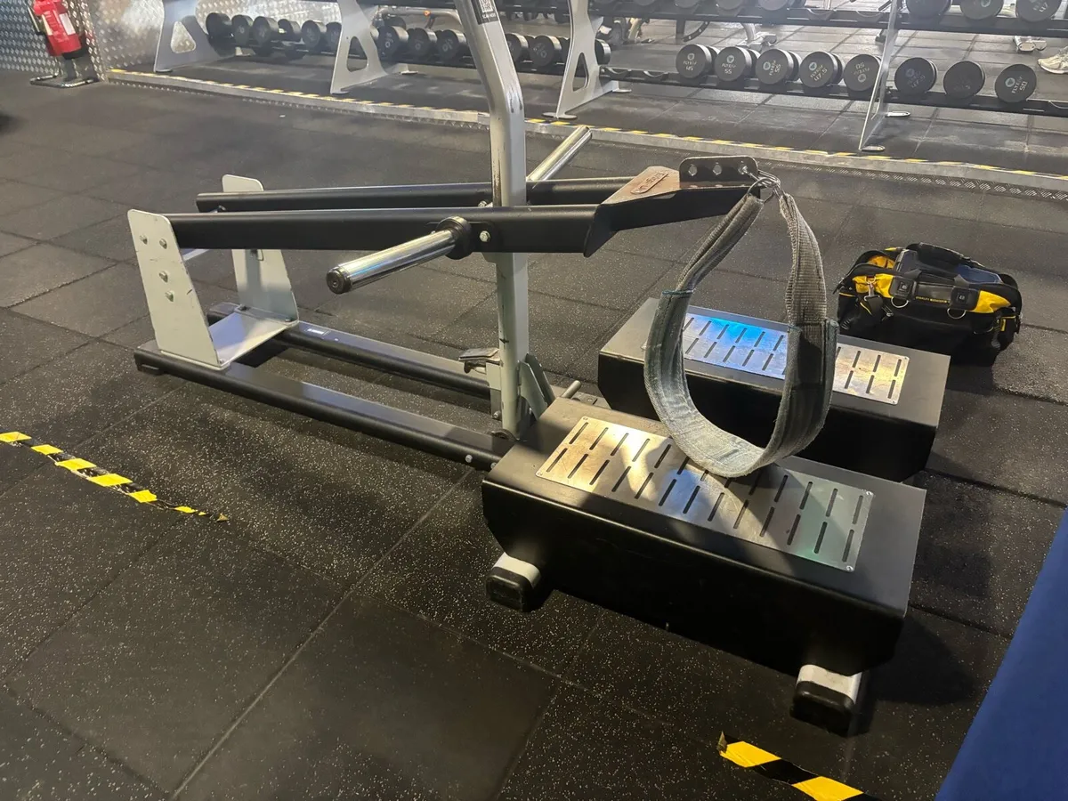Exigo belt squat - Image 2