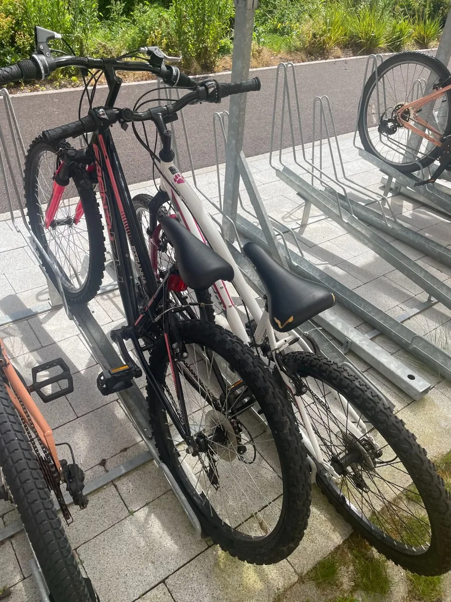 Children's 24" Bike – €50 - Image 1