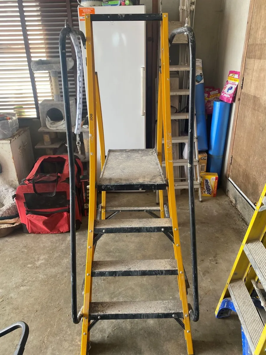 Werner Platform & step ladders - Image 2