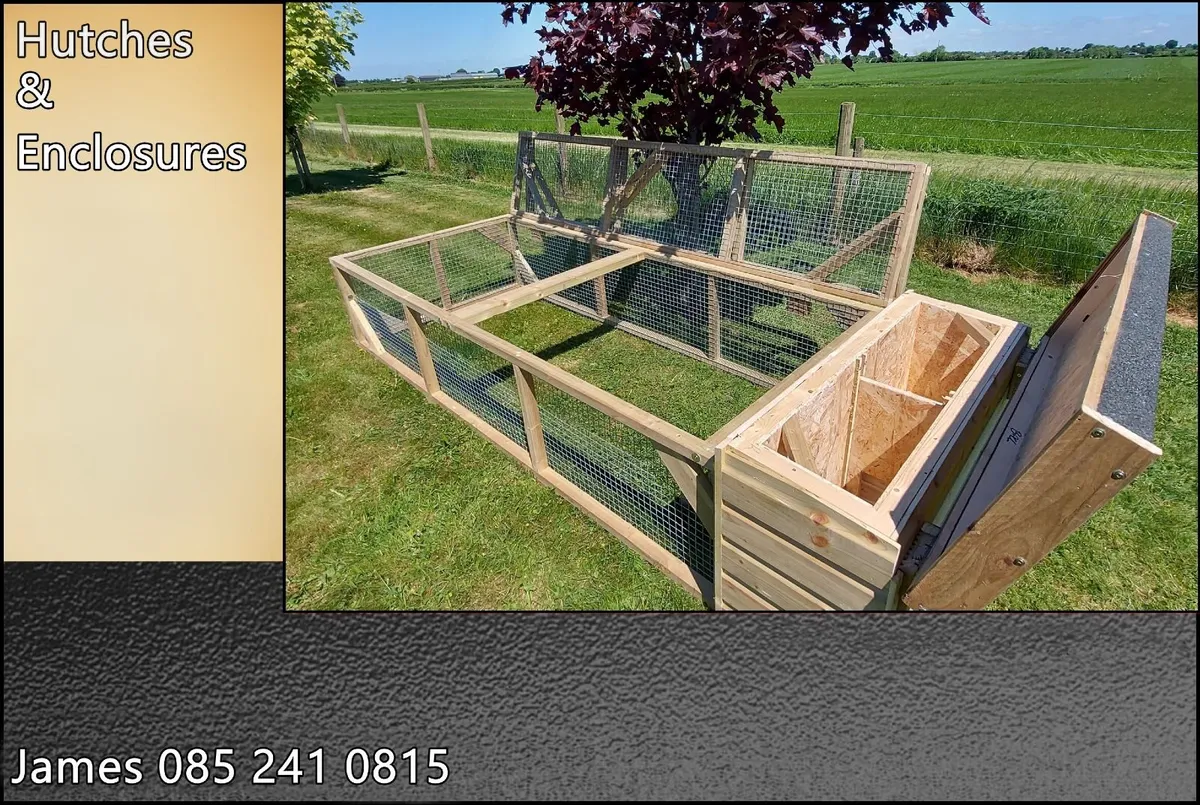 Rabbit Enclosure - Image 3