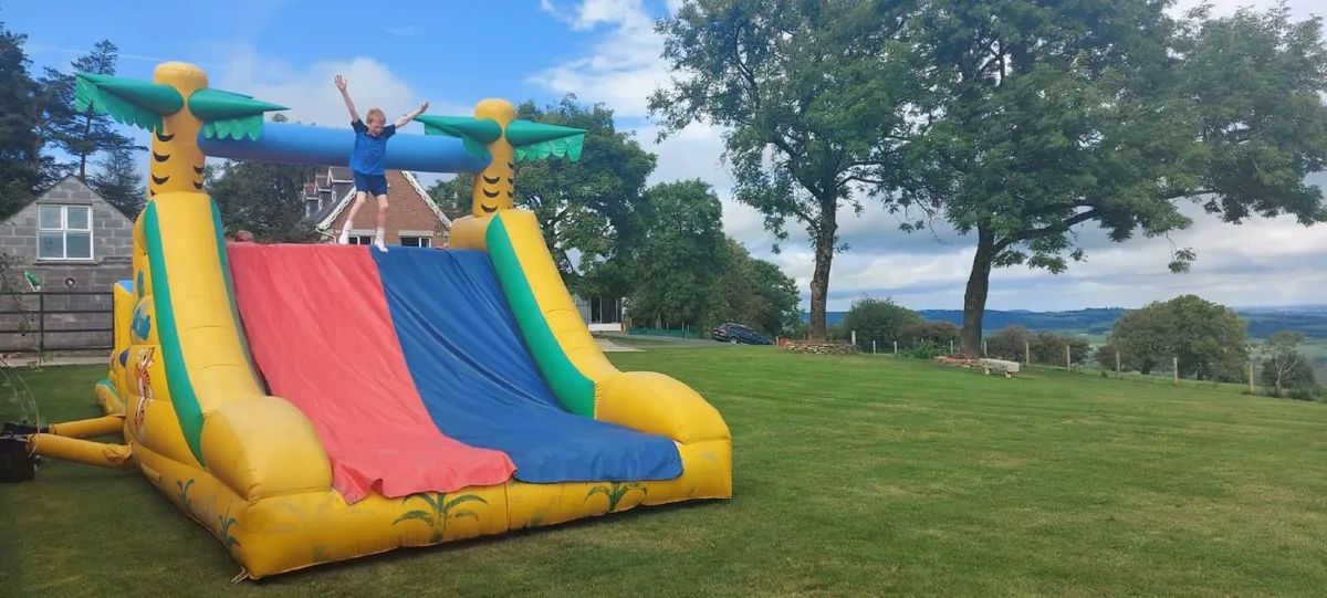 Bouncy Castle - Image 2
