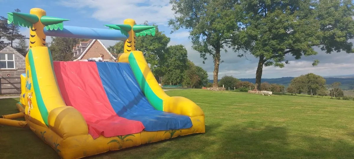 Bouncy Castle - Image 3