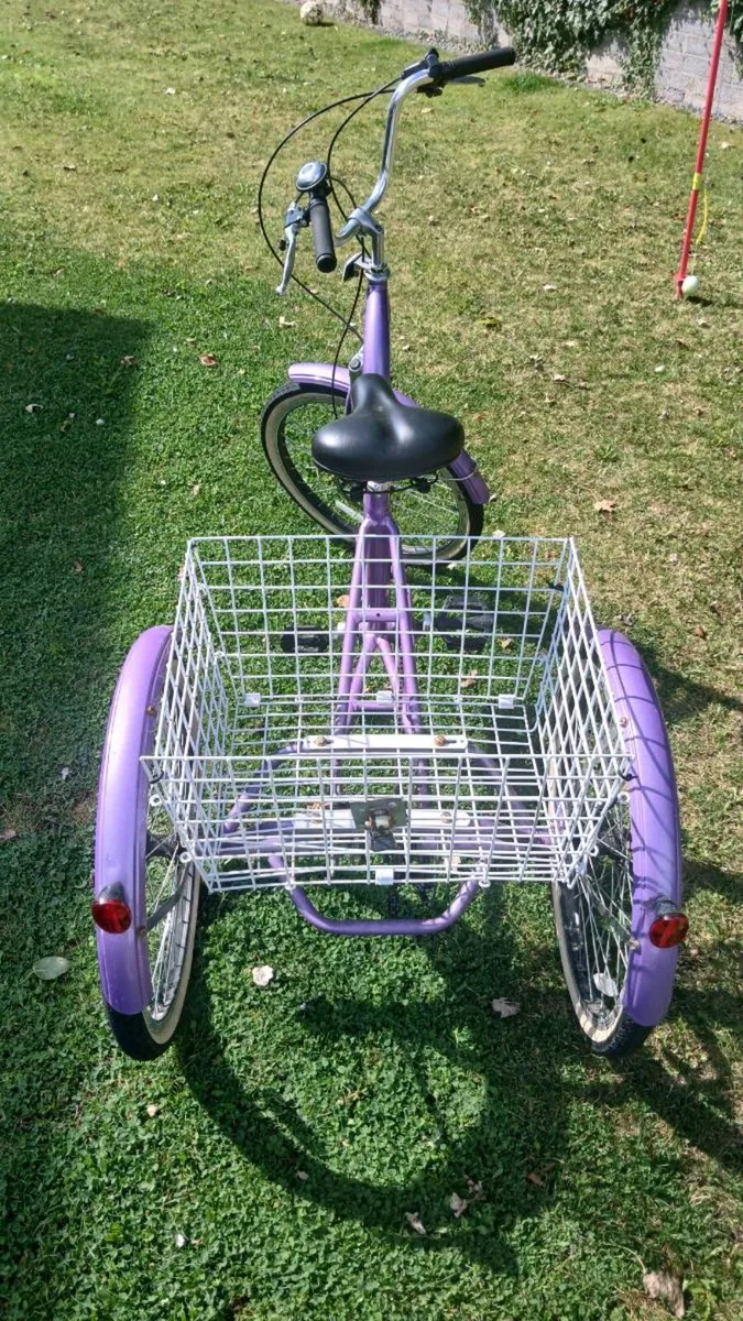 Adults trike - Image 2