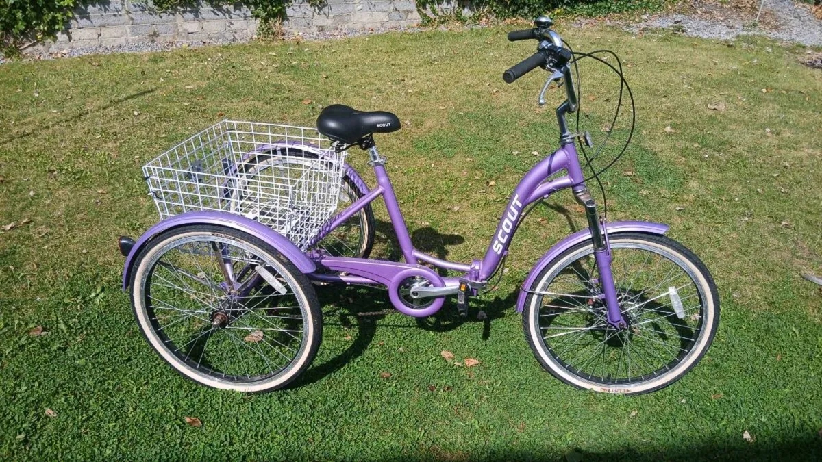 Adults trike - Image 3
