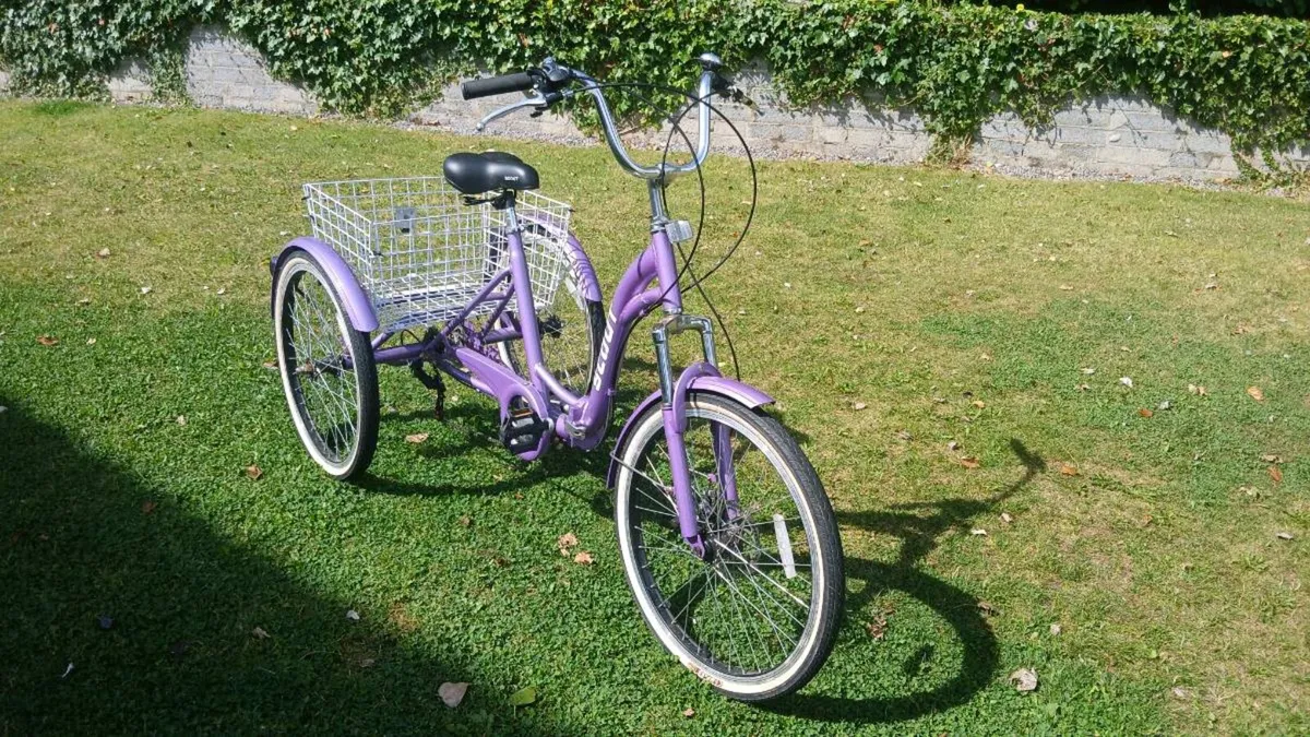 Adults trike - Image 4