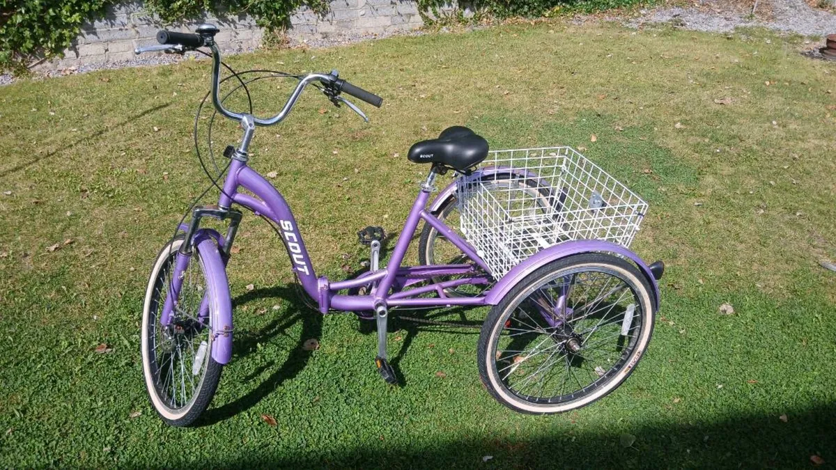 Adults trike - Image 1