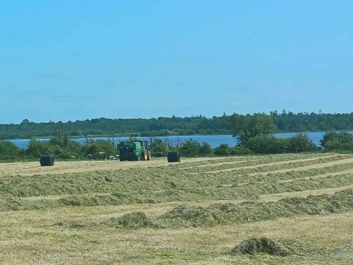 Silage - Image 2