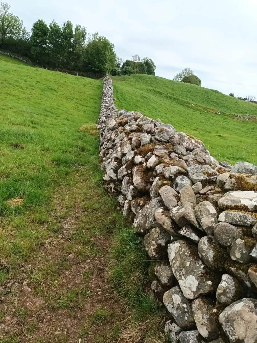 Stone free to go - Image 1