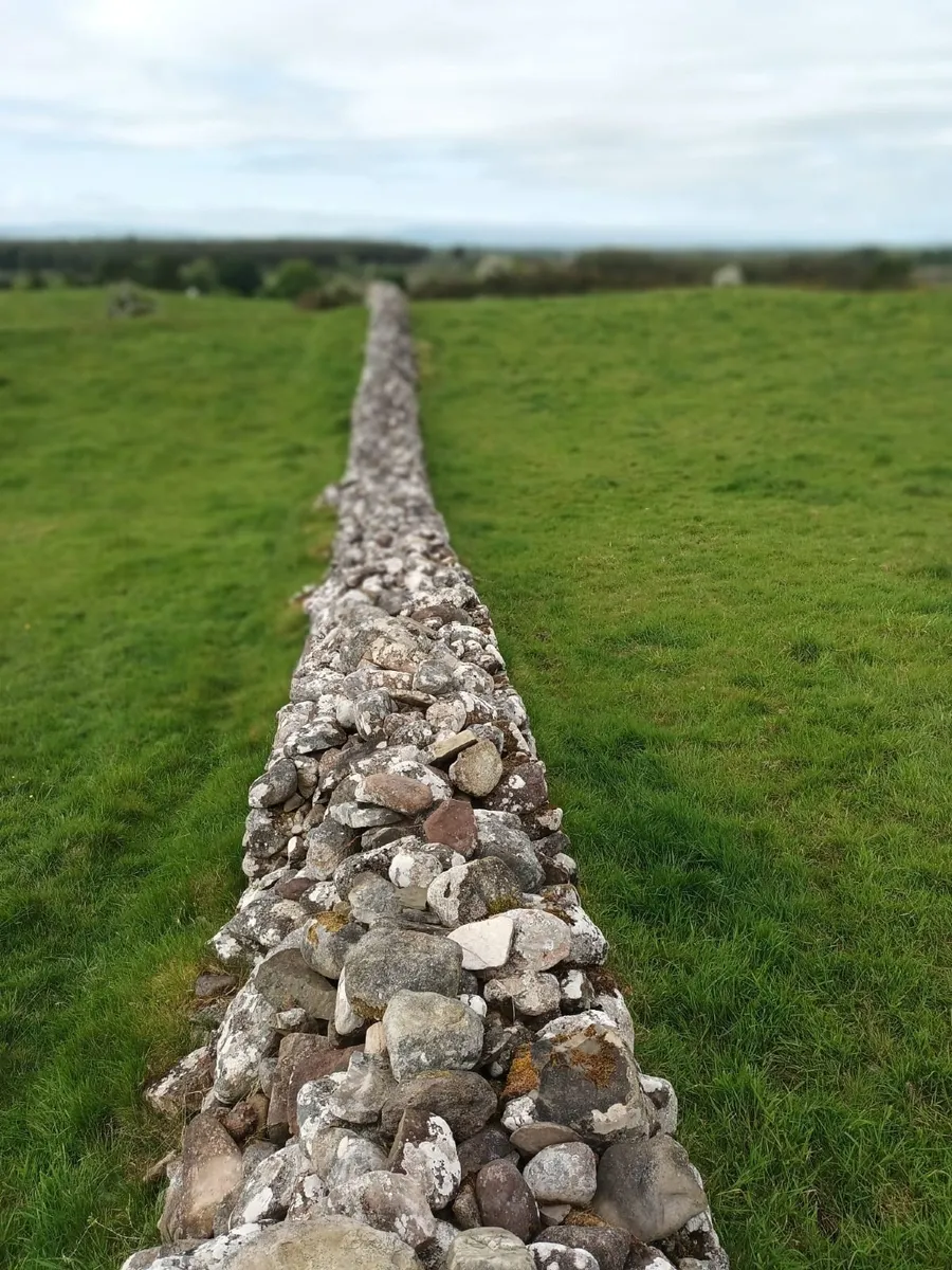 Stone free to go - Image 2