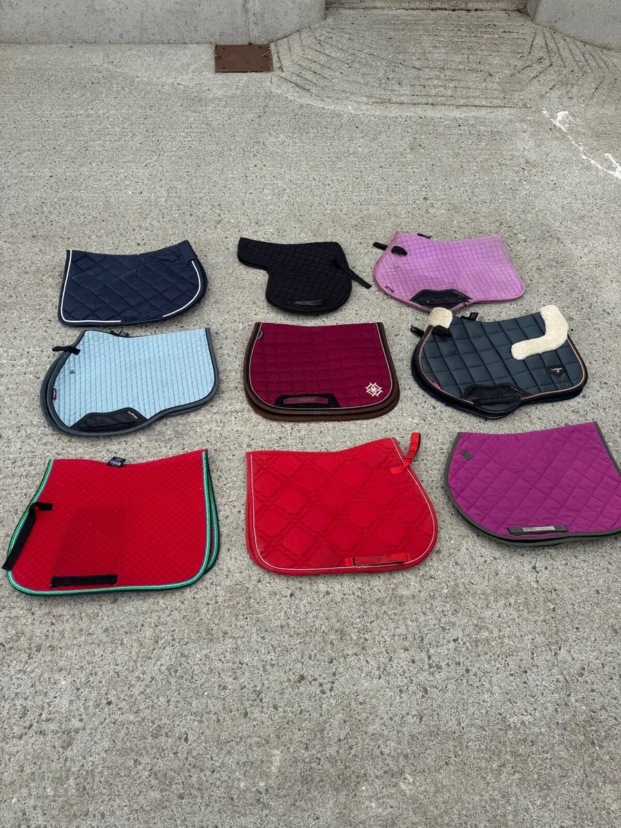 Selection of saddle pads - Image 1
