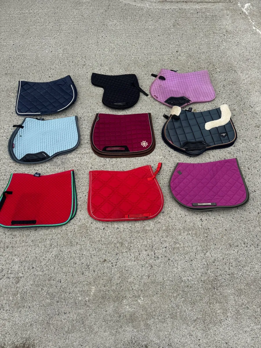 Selection of saddle pads - Image 2