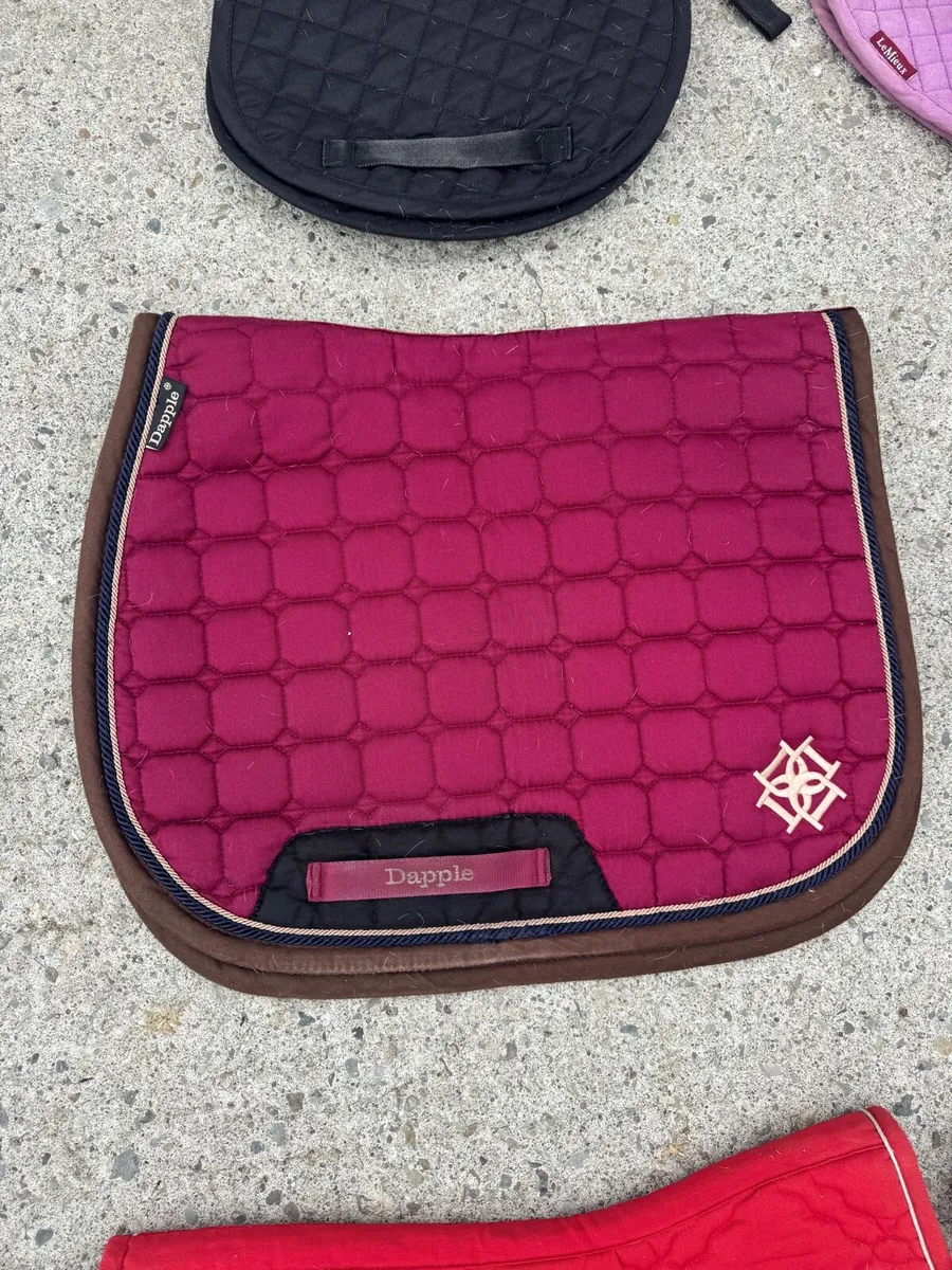 Selection of saddle pads - Image 3