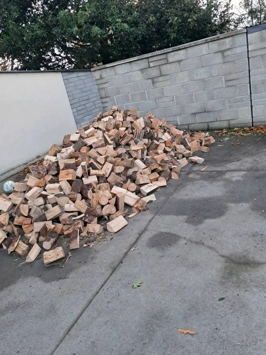 Firewood for sale - Image 3