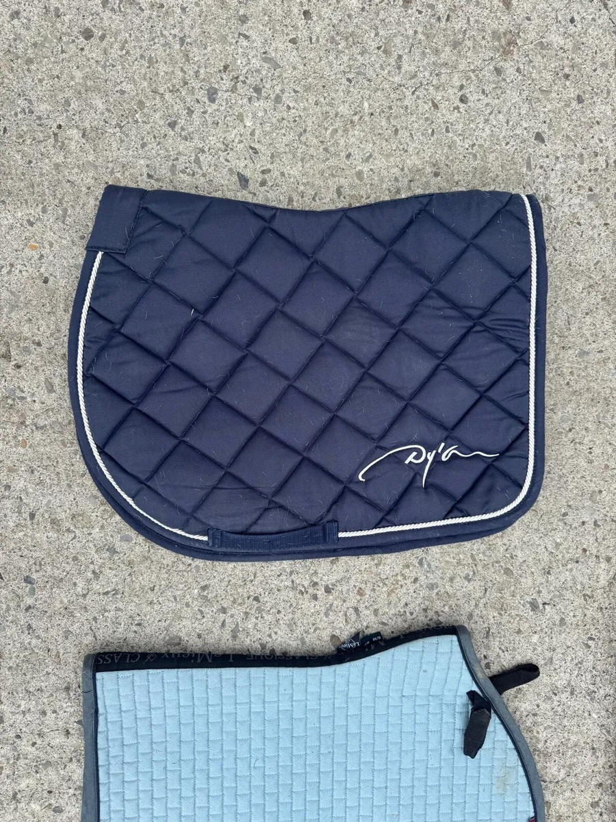 Selection of saddle pads - Image 4