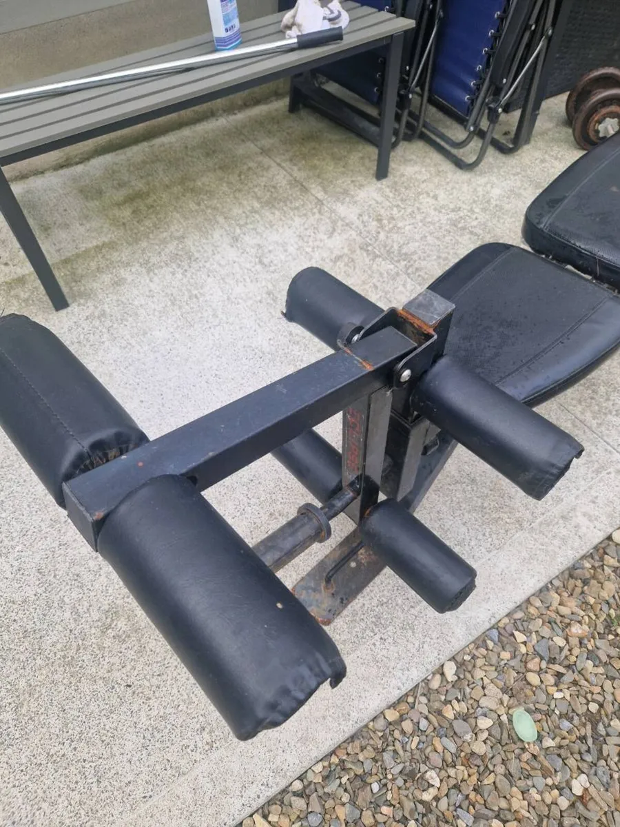 Adjustable Bench and Preacher Curl Bench - Image 4