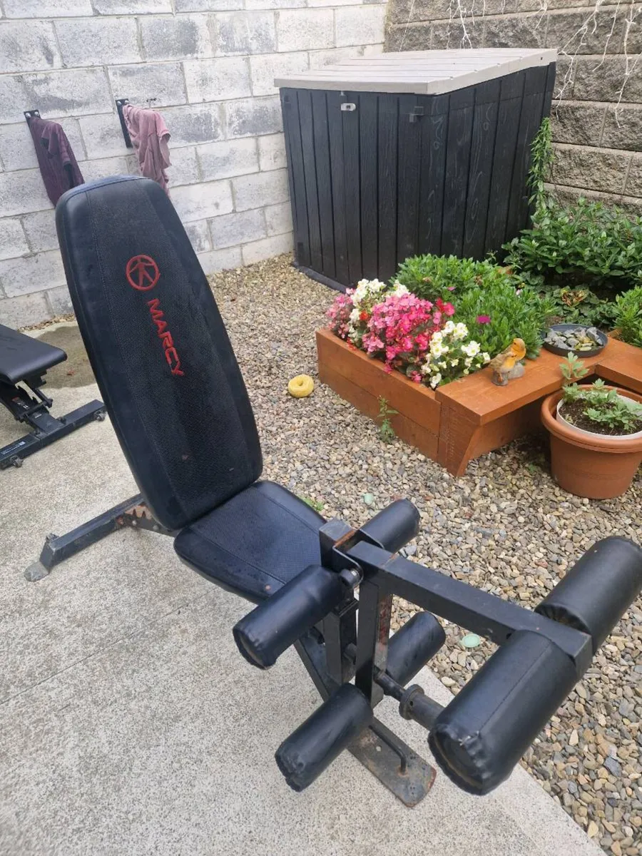 Adjustable Bench and Preacher Curl Bench - Image 1