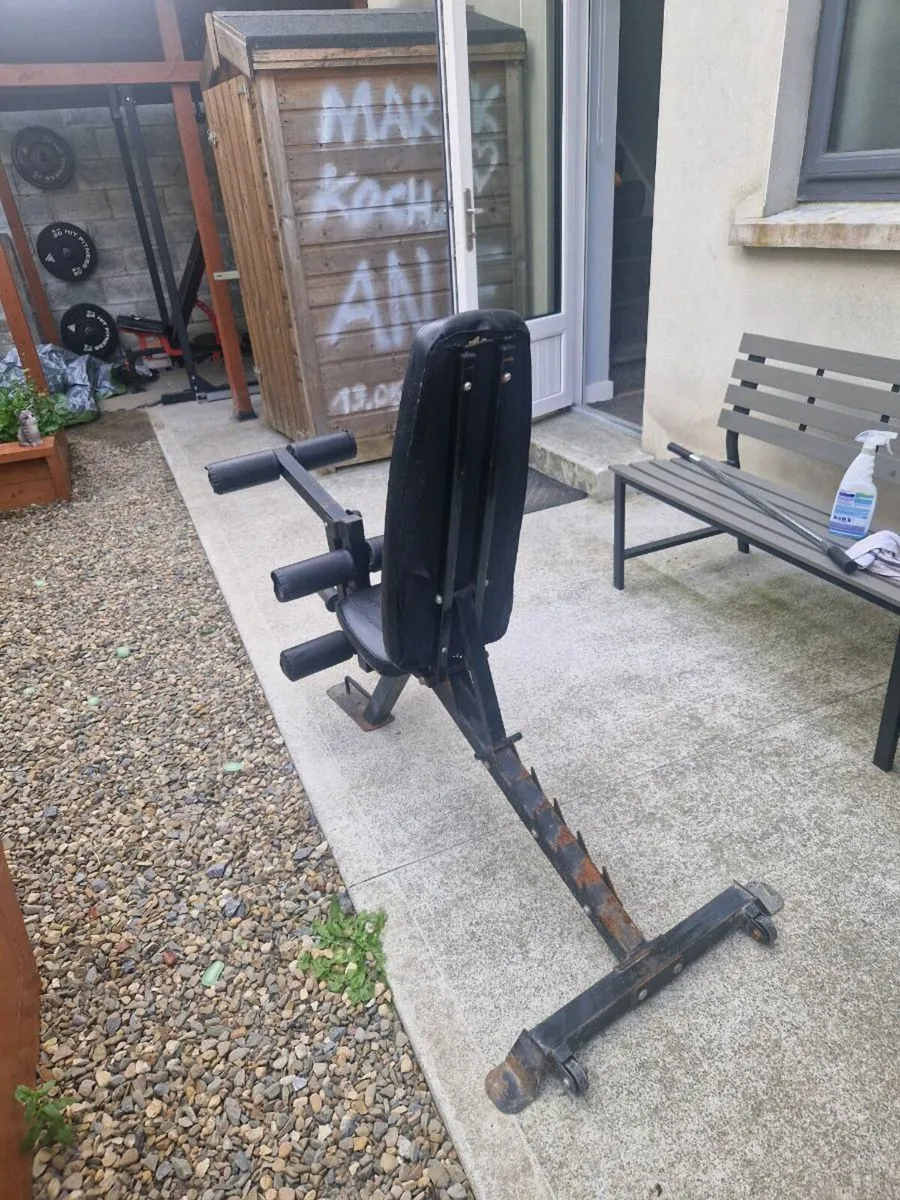Adjustable Bench and Preacher Curl Bench - Image 2