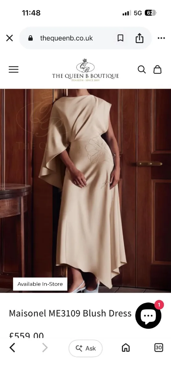 Maisonel Blush Evening Dress for Mother of Bride. - Image 1