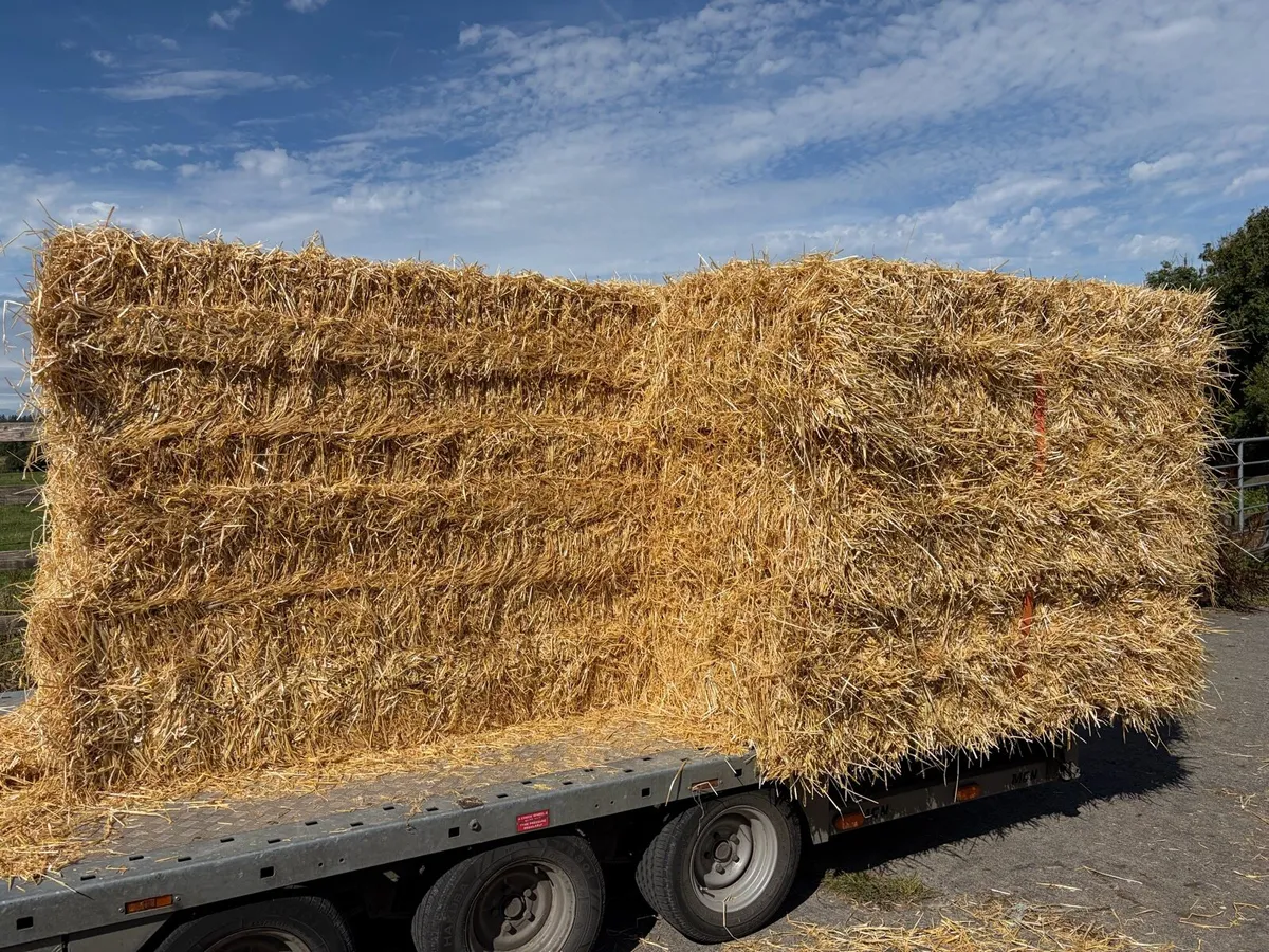 BARLEY STRAW & HAY       Delivered to Farm - Image 3