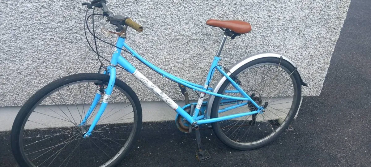 Adult bike - Image 1