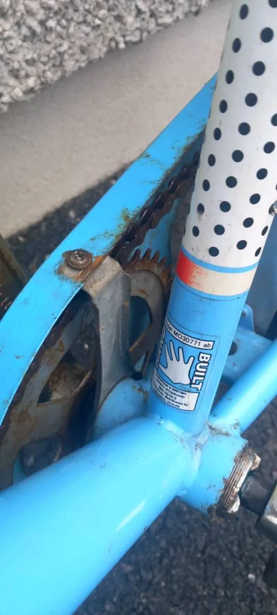 Adult bike - Image 3