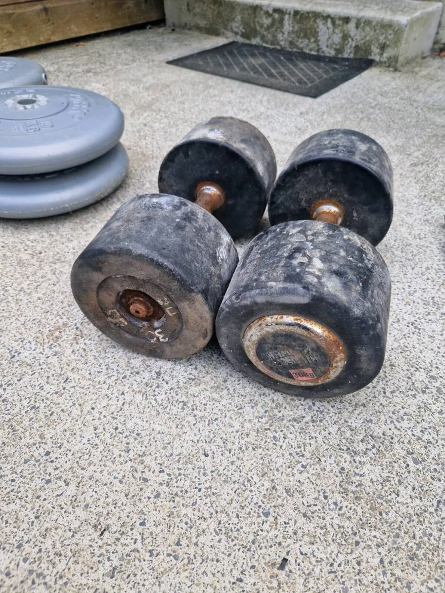 30 kg dumbbells - Image 1