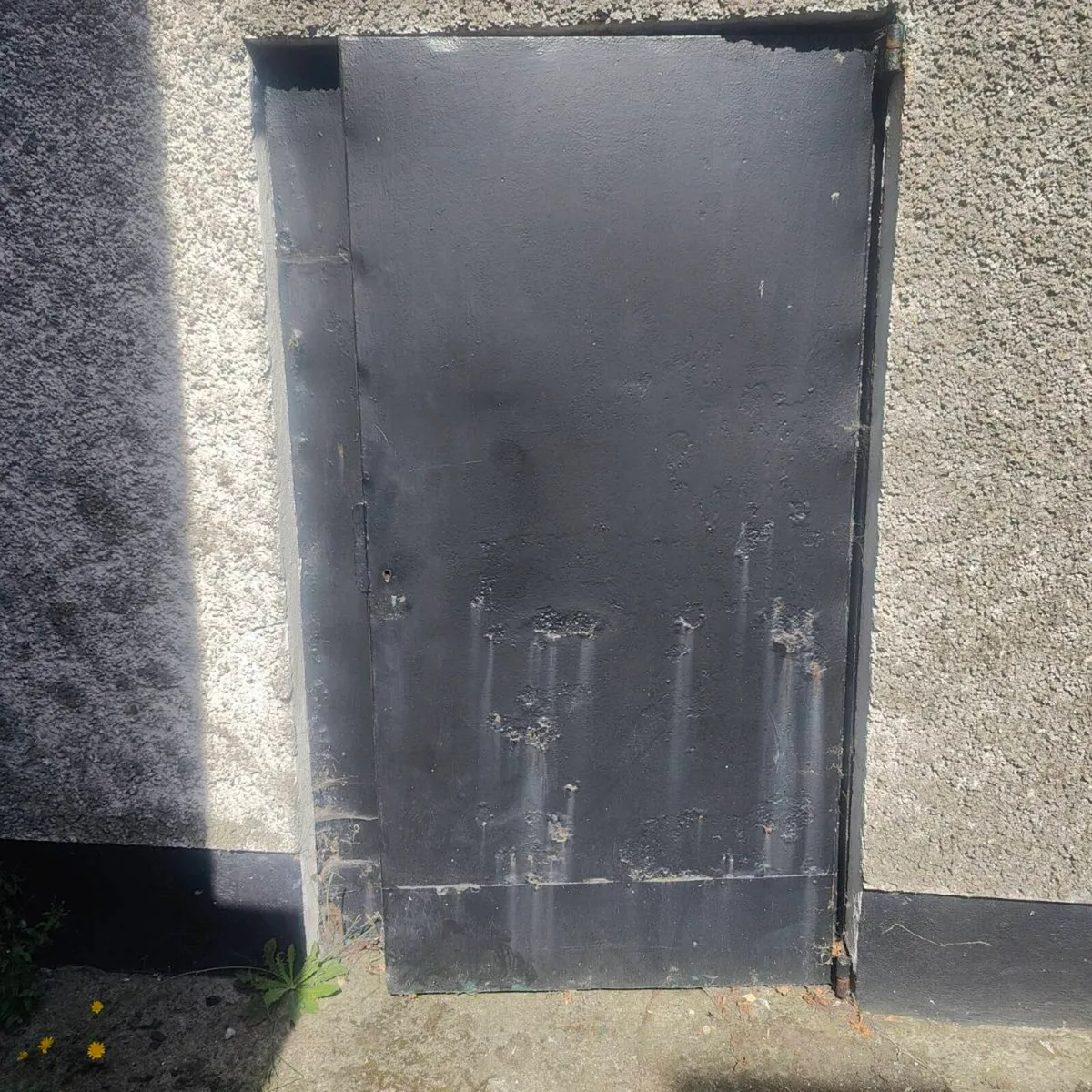 Wooden shed + steel doors - Image 4