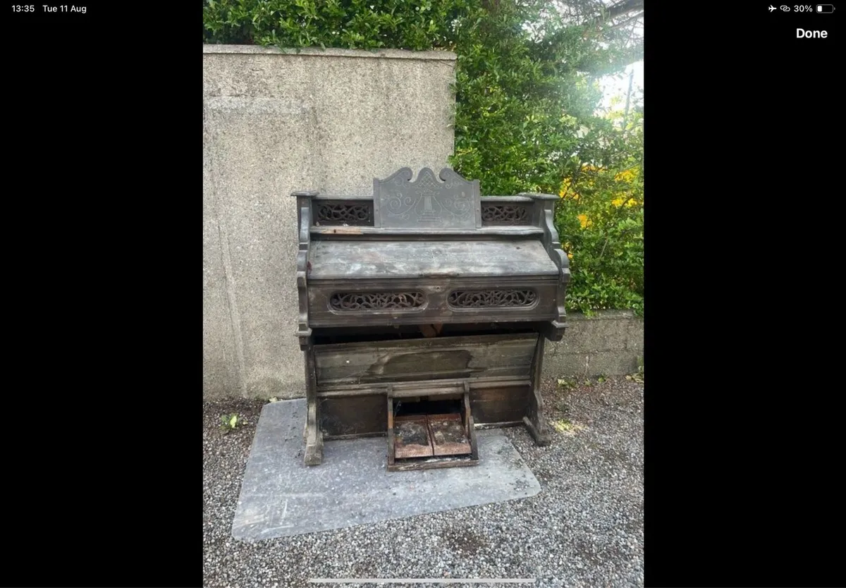 Small organ - Image 2
