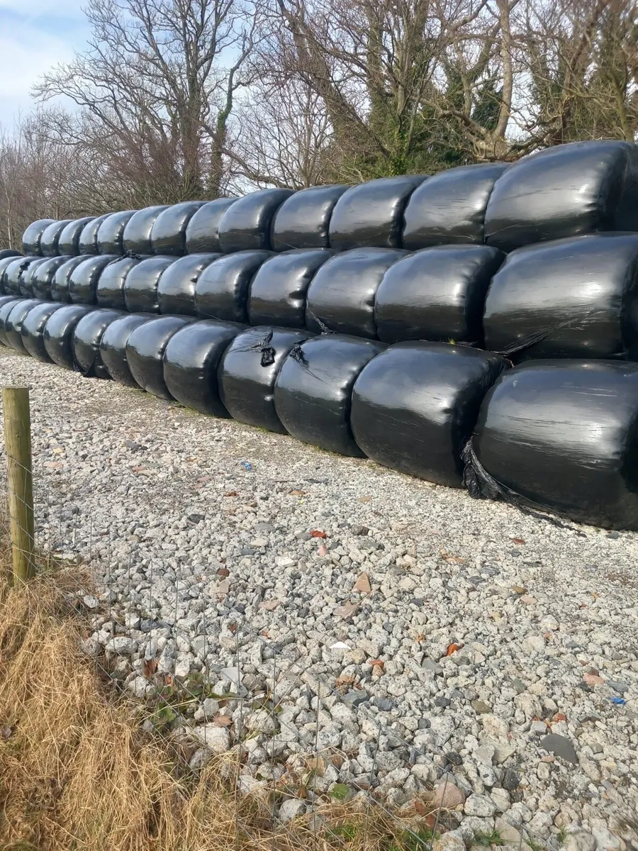Silage - Image 1