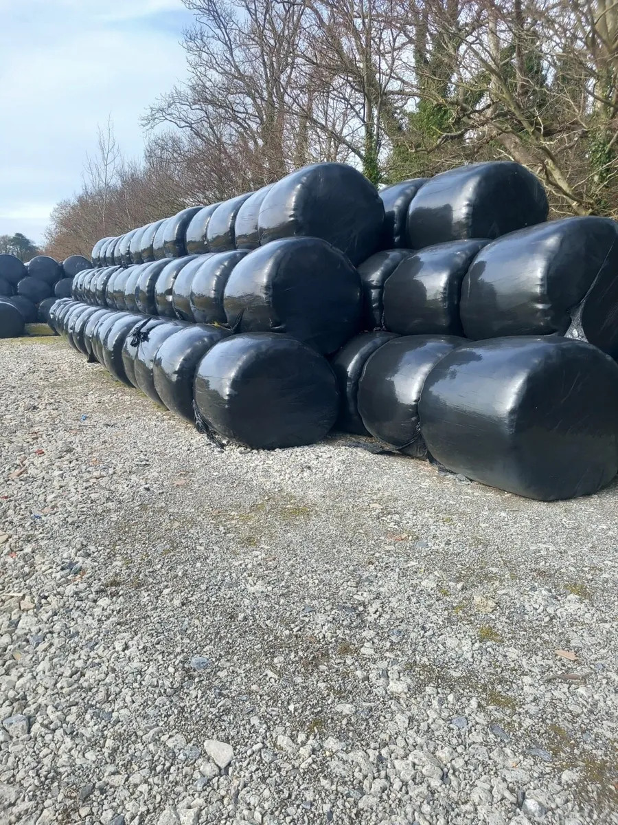 Silage - Image 2