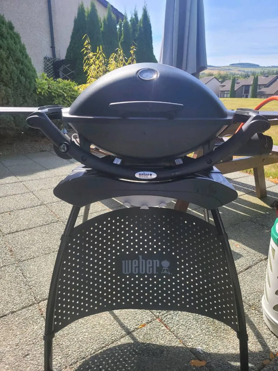 Webber Bbq - Image 1