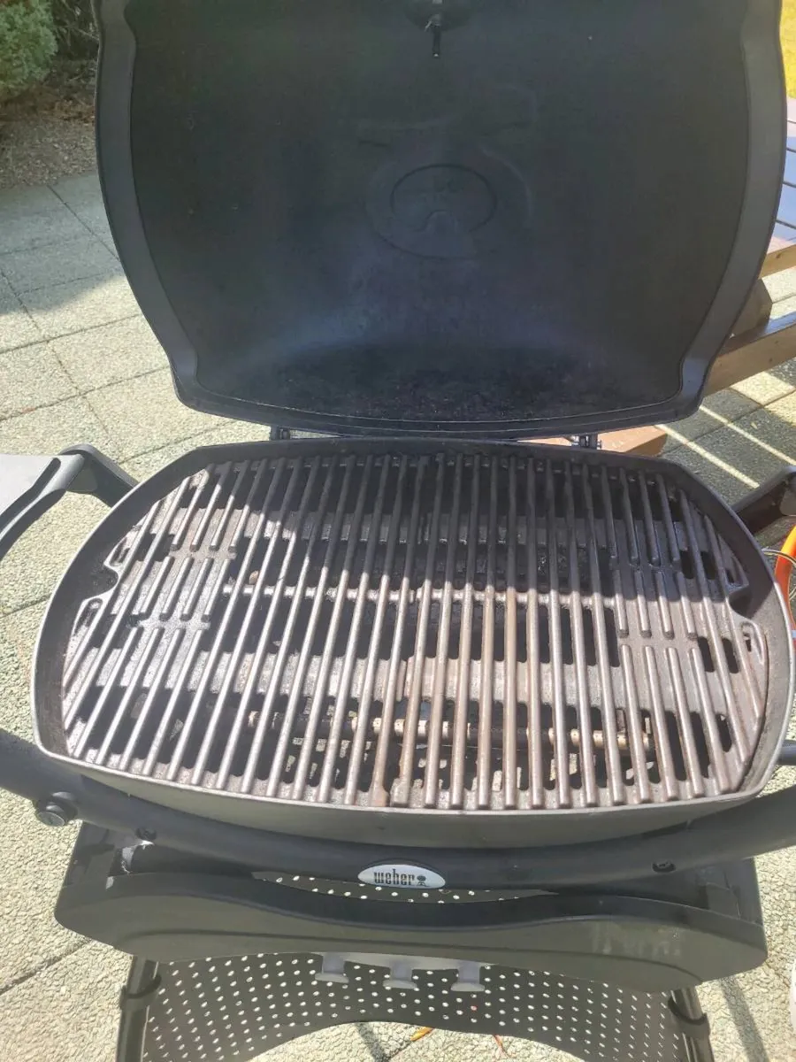 Webber Bbq - Image 3