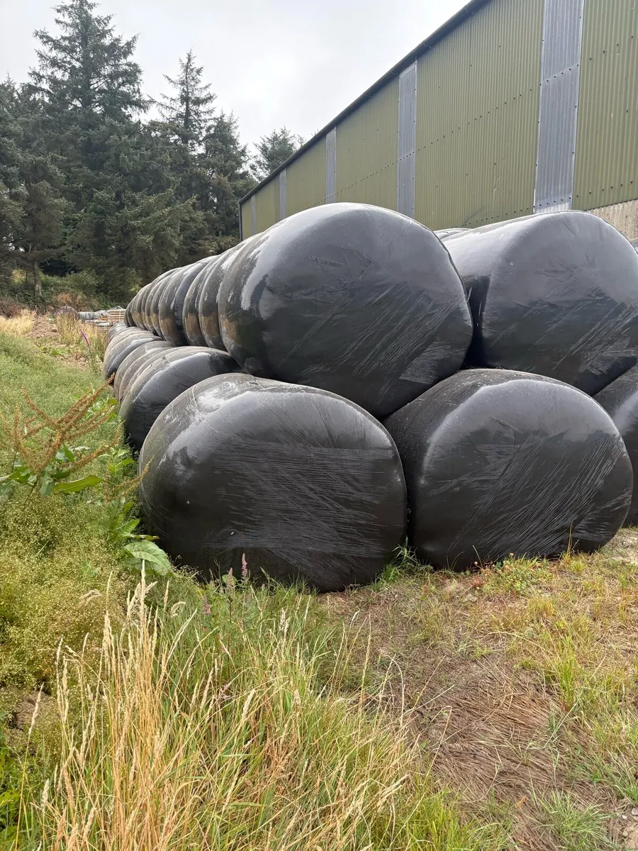 Sliage bales
