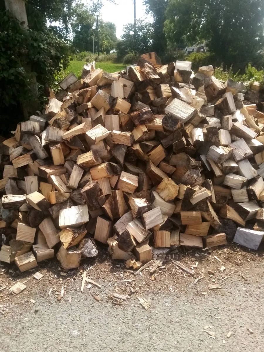 Firewood - Image 1