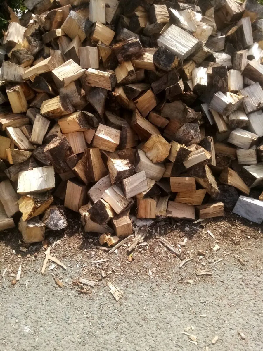 Firewood - Image 3