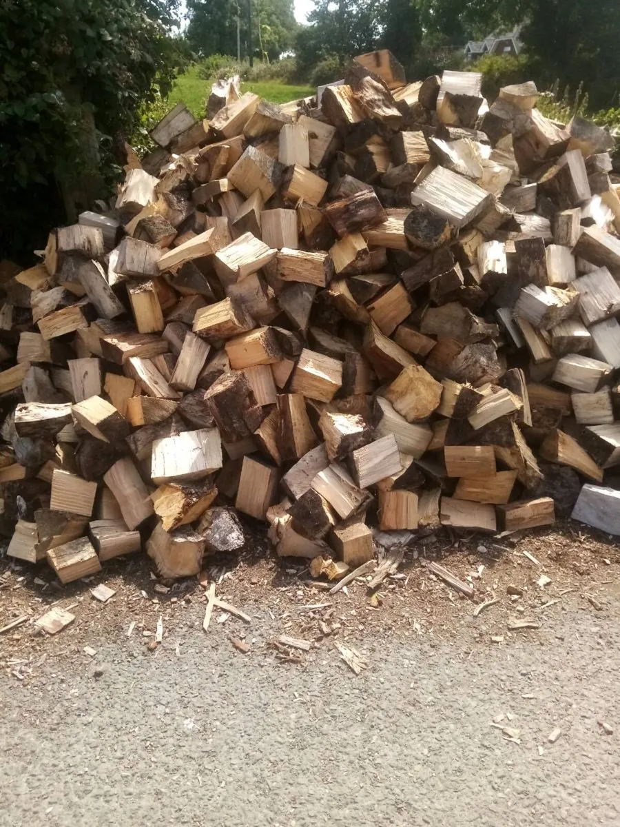 Firewood - Image 2