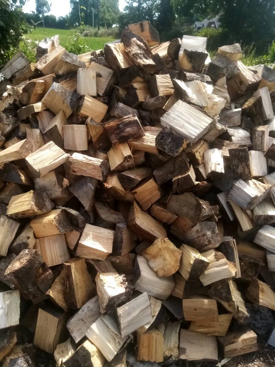 Firewood - Image 4